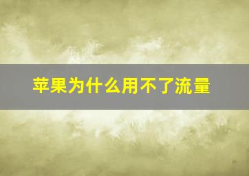 苹果为什么用不了流量