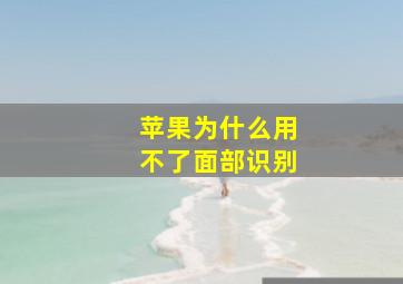 苹果为什么用不了面部识别