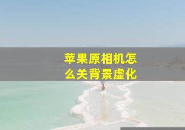 苹果原相机怎么关背景虚化