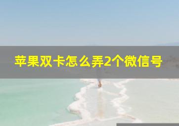 苹果双卡怎么弄2个微信号