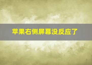 苹果右侧屏幕没反应了