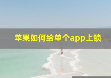 苹果如何给单个app上锁