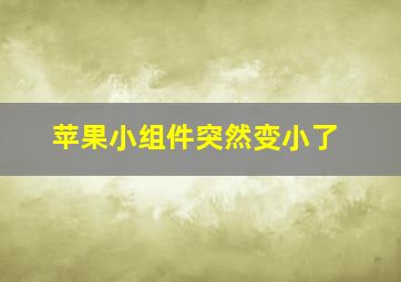 苹果小组件突然变小了