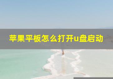 苹果平板怎么打开u盘启动