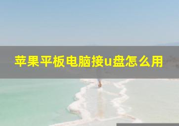 苹果平板电脑接u盘怎么用