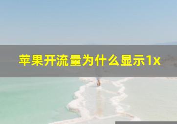 苹果开流量为什么显示1x