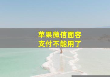 苹果微信面容支付不能用了