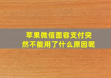 苹果微信面容支付突然不能用了什么原因呢