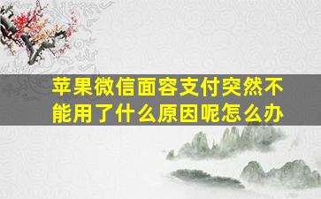 苹果微信面容支付突然不能用了什么原因呢怎么办