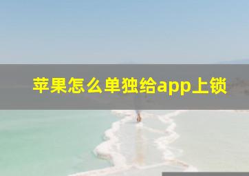 苹果怎么单独给app上锁