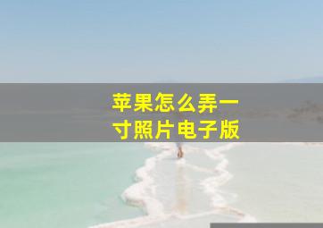 苹果怎么弄一寸照片电子版