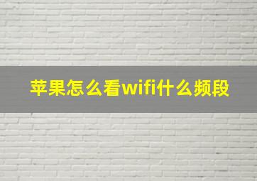 苹果怎么看wifi什么频段