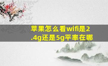 苹果怎么看wifi是2.4g还是5g平率在哪