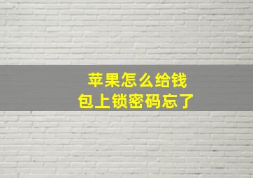 苹果怎么给钱包上锁密码忘了