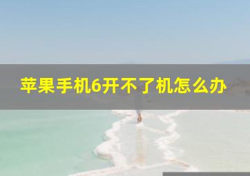 苹果手机6开不了机怎么办