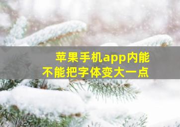 苹果手机app内能不能把字体变大一点