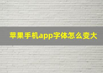 苹果手机app字体怎么变大