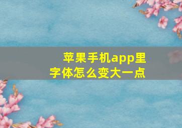 苹果手机app里字体怎么变大一点