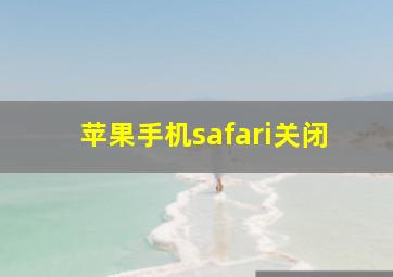 苹果手机safari关闭