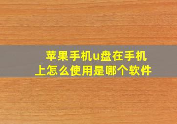 苹果手机u盘在手机上怎么使用是哪个软件