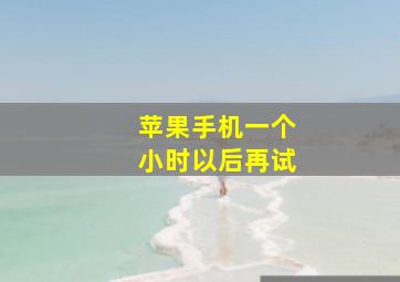 苹果手机一个小时以后再试