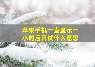 苹果手机一直显示一小时后再试什么意思