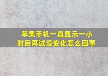 苹果手机一直显示一小时后再试没变化怎么回事