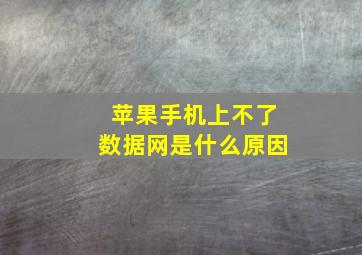 苹果手机上不了数据网是什么原因