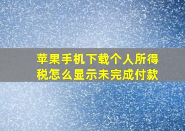 苹果手机下载个人所得税怎么显示未完成付款