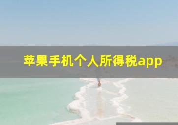 苹果手机个人所得税app