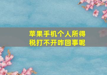 苹果手机个人所得税打不开咋回事呢