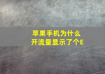 苹果手机为什么开流量显示了个E