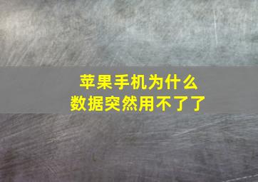 苹果手机为什么数据突然用不了了