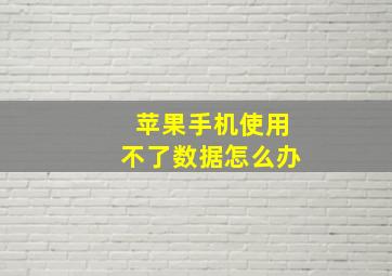 苹果手机使用不了数据怎么办