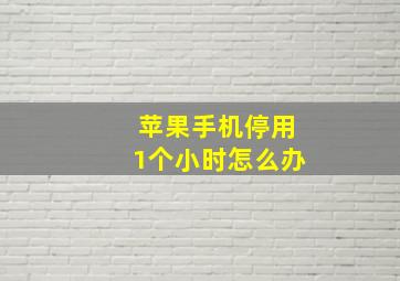 苹果手机停用1个小时怎么办