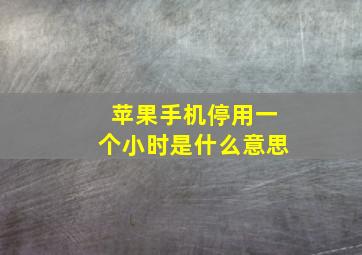 苹果手机停用一个小时是什么意思