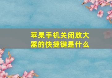 苹果手机关闭放大器的快捷键是什么