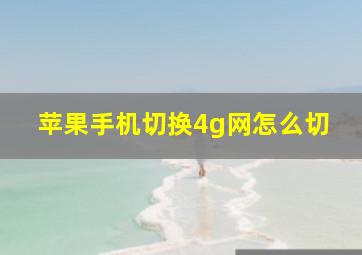 苹果手机切换4g网怎么切