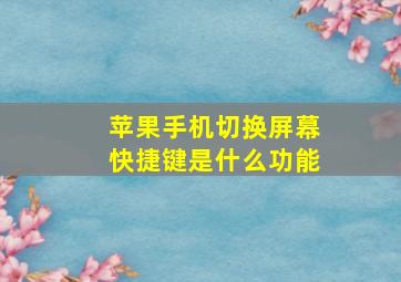 苹果手机切换屏幕快捷键是什么功能