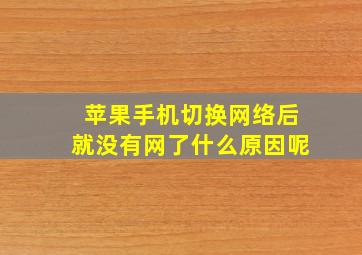 苹果手机切换网络后就没有网了什么原因呢