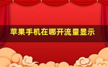 苹果手机在哪开流量显示