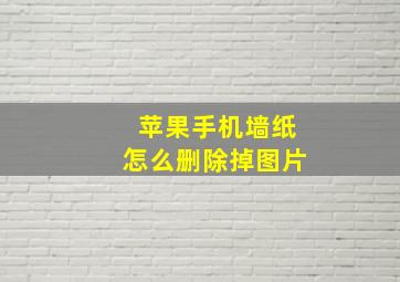 苹果手机墙纸怎么删除掉图片