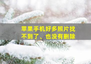 苹果手机好多照片找不到了、也没有删除