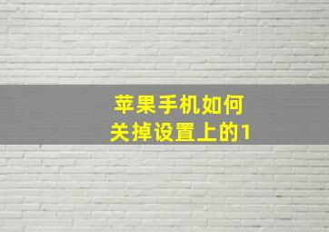 苹果手机如何关掉设置上的1