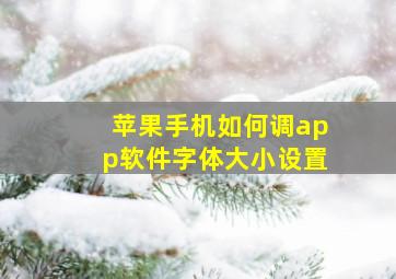 苹果手机如何调app软件字体大小设置