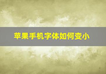 苹果手机字体如何变小