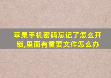 苹果手机密码忘记了怎么开锁,里面有重要文件怎么办