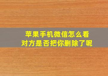 苹果手机微信怎么看对方是否把你删除了呢