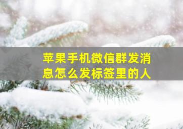 苹果手机微信群发消息怎么发标签里的人