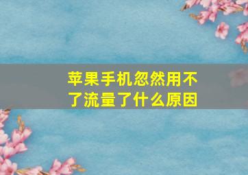 苹果手机忽然用不了流量了什么原因